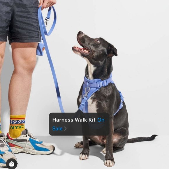 Wild One Dog Harness XS - Picture 5 of 7